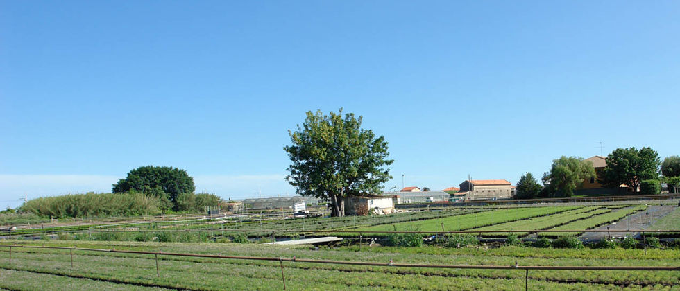 Azienda Agricola Le Terre sul Mare