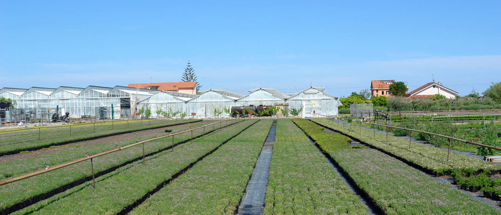 Azienda Agricola Le Terre sul Mare